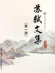 云南大楚集团